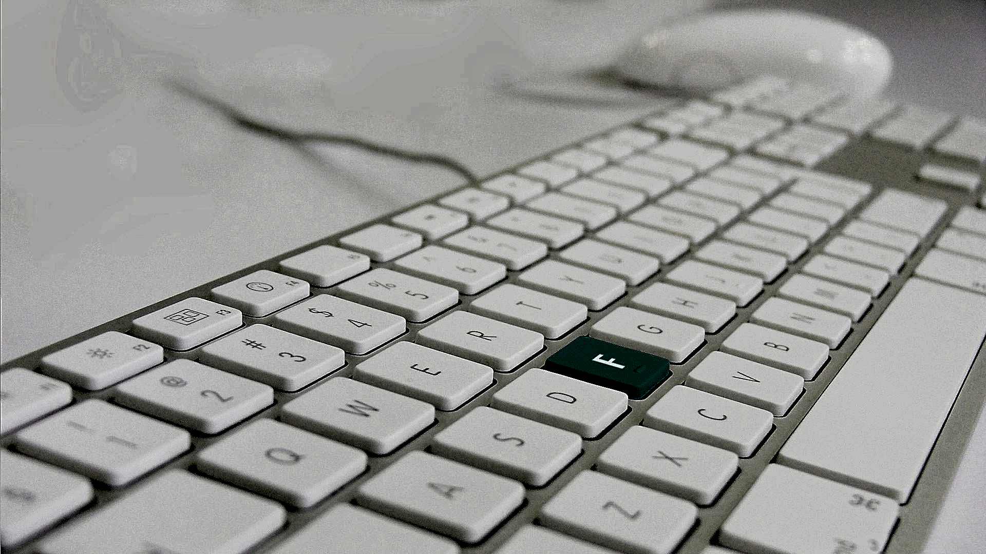 FARKLILIĞIN ORTAK SEÇİMİ